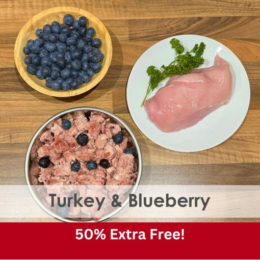 Turkey with Blueberry Raw 1kg - 2x Boxes of 12