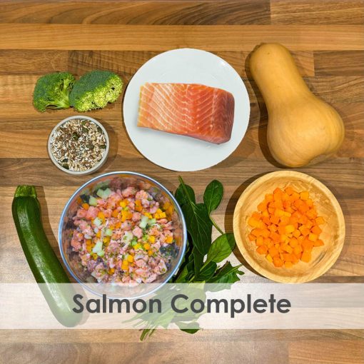 Salmon Complete Raw 1kg - Box of 12