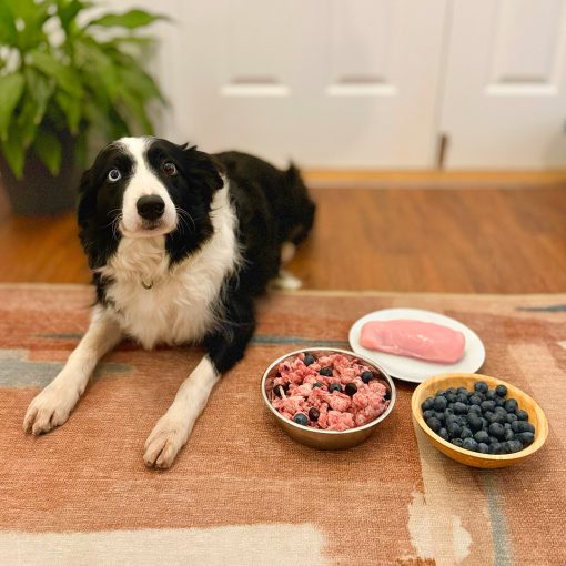 Turkey with Blueberry Raw 1kg - 2x Boxes of 12 - Image 3